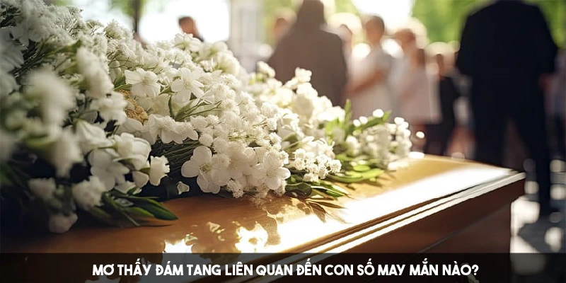 Con số gắn liền với mỗi tình huống trong giấc mơ